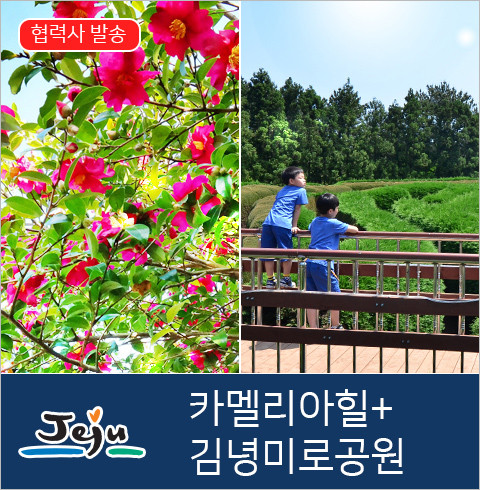 [제주도] 카멜리아힐+김녕미로공원
