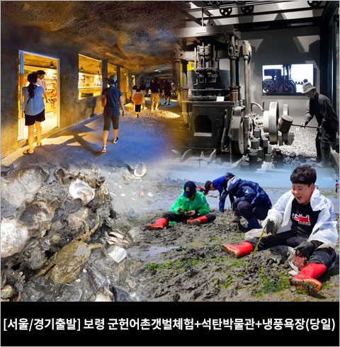 [서울/경기출발] 보령 군헌어촌갯벌체험+석탄박물관+냉풍욕장(당일)
