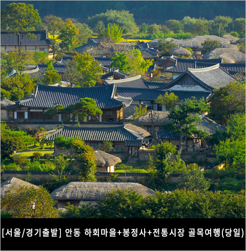 [서울/경기출발] 안동 하회마을+봉정사+전통시장 골목여행(당일)