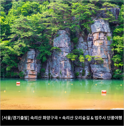 [서울/경기출발] 속리산 화양구곡 + 속리산 오리숲길 & 법주사 단풍여행