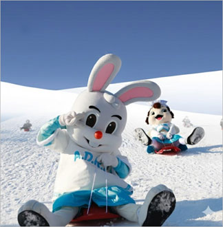 [과천] 서울랜드 AFTER 2 자유이용권(대인/소인/주중/주말)