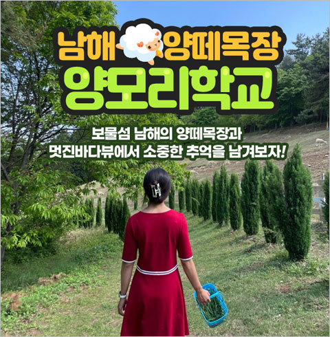 [남해] 남해 양떼목장 양모리학교 소인 1인권