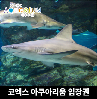 [서울] 코엑스 아쿠아리움 주말/주중/대인/소인 이용권